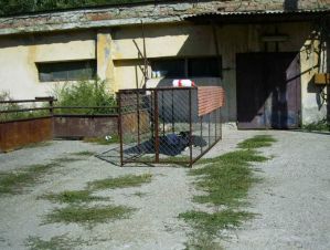 Eingang zum Tierheim