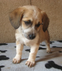 Chris sorgt für Hope.