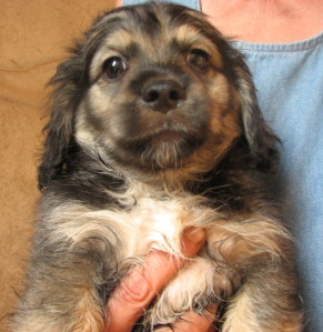 Yvonne sorgt für Beppo.