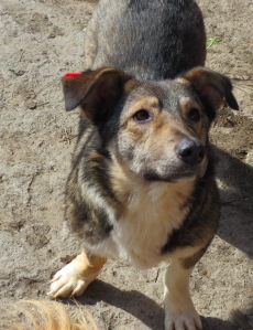 ???????????????????????????????