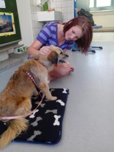 544407_422798877829674_1456806190_n