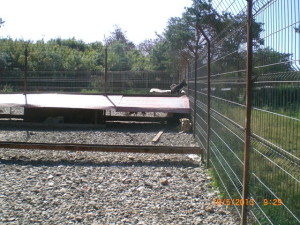 CIMG0379
