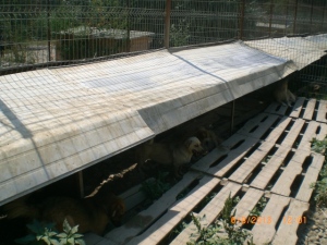 CIMG6780