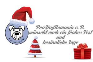 weihnachten2013