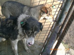 1501937_705768926114758_1227624151_n