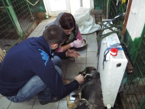 10269114_744010552306348_6497859302755940498_o