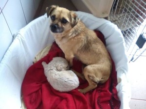 10294397_669934716394732_5045249512443111143_n