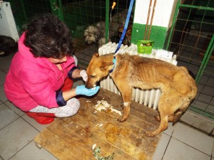 981378_744010448973025_4892834979352094496_o