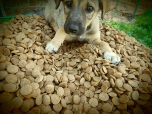 10274331_768244119882991_6668866940177635191_n