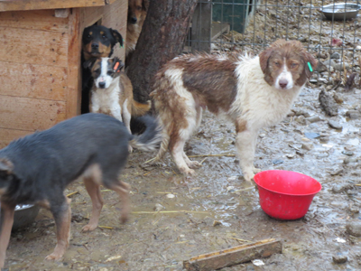Mal wieder ein schönes Wochenende für unsere Ploiesti-Traveller :-)
