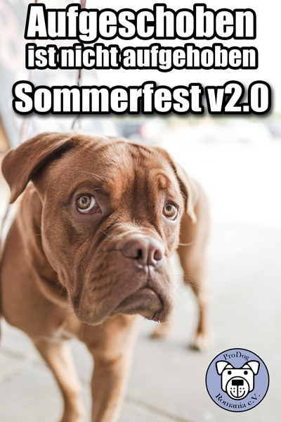 *******Sommerfest v2.0******