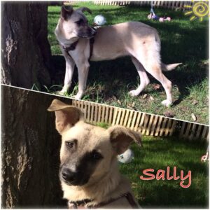 sally