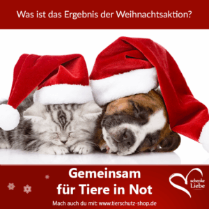 10888396_333461496841552_11777988085916559_n