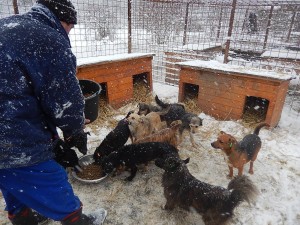 10903888_890666777640724_1292687428547506594_o