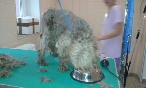 erste Begegnung mit Paulina