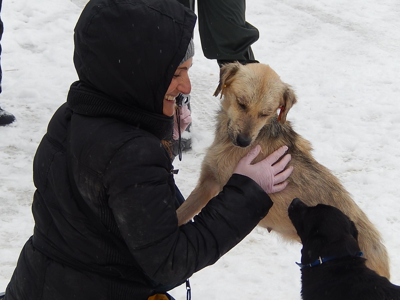 Ganzjährig HELFER für Ploiesti gesucht!
