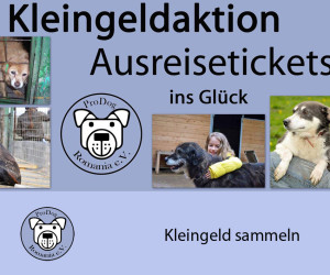 kleingeld