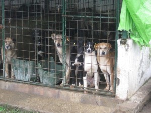 10845755_911561375531970_113644676648382749_o