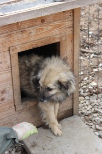 11070394_804505616292691_147803425354711724_o