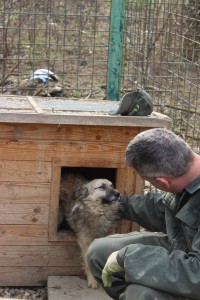 11096470_804507319625854_8722872528106816259_o