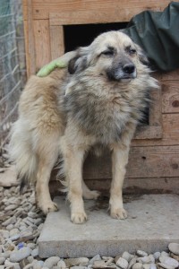 1669598_804507409625845_3012175722035244111_o