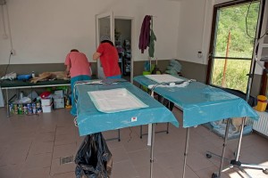 11061957_470986749735307_5220485045310275172_n