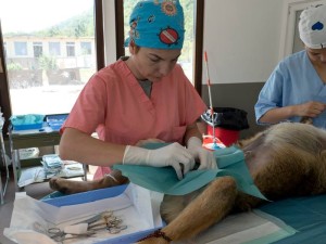 11406801_471016726398976_8635650137219482052_n