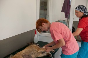 22791_470986796401969_5477814337959499151_n