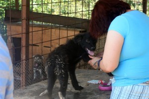 11145073_1067640243253912_6898809682369143165_o