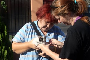 11231219_1067640246587245_3461063091965987012_o