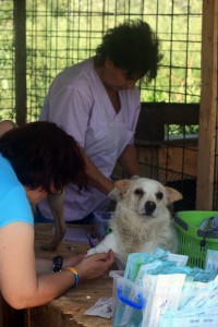 11838592_1067640239920579_1098330378721220384_o