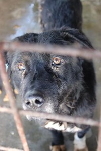 10450969_937195833023668_4586718979020466065_n