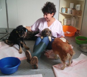 10650021_934779369931981_1975388924407676276_n