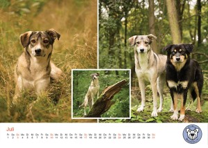 12088026_1101570786527422_1347354176016228170_n