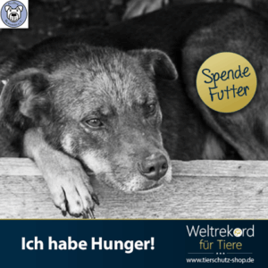 12247179_1632233463697585_1416600443530469479_n