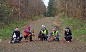 12301454_1028579700535938_3513971829849439796_n