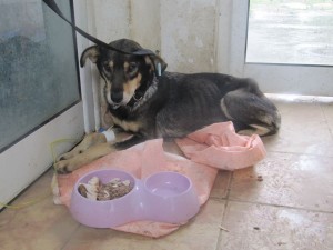 12347886_934784676598117_4160328115417736336_n