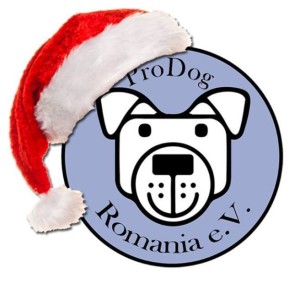 12376608_934784713264780_7720868544463447502_n