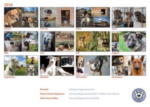 1794628_1008670162538508_697197195488677664_n