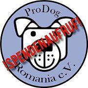 13312688_1014316255311102_7284422226484522127_n