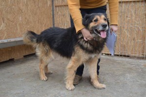 13445459_1041817389228178_6532734664124965735_n