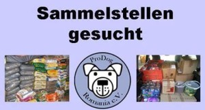 13450190_1749302098685239_2315047925418367458_n