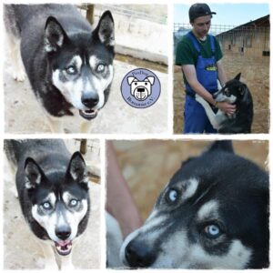 13886317_1079003588842891_2171693282144430592_n