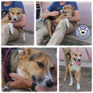 13895578_1079003598842890_4187378421818375557_n