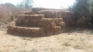 13939581_1080094808733769_6634038791854790591_n