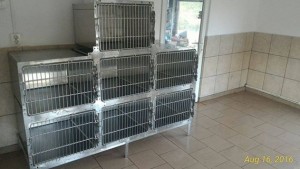 14054148_1083098791766704_7681009351360894991_n