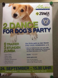 14081049_1150251888370961_505316978_n