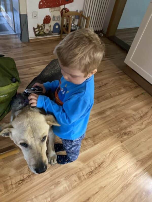 KEKS - Gnadenplatzhund seit dem 02.11.2019 - RBB 11/24 – Bild 14