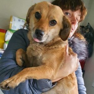 ROXI - reserviert NadineH - vermittelt