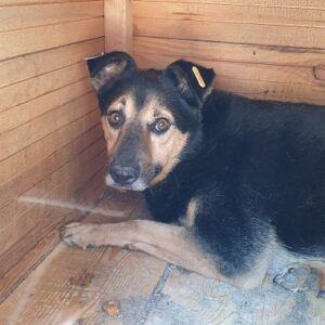 LUPO - RBB 04/23